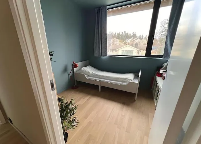 Unik Funkisbolig Leies Ut Til Ski-vm Vila